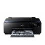 EPSON C11CE21301