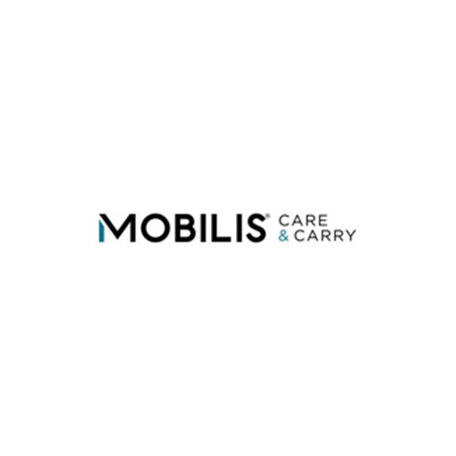 Mobilis 001252 câble USB