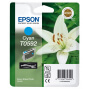 Divers HORS UNIVERS EPSON C13T05924010