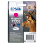 EPSON C13T13034012