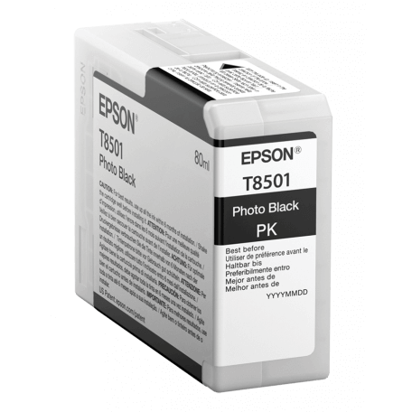 Epson Singlepack Photo Black T850100