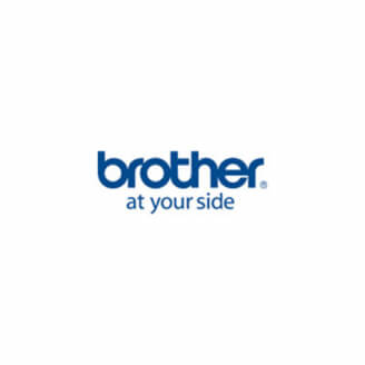 Brother TZe-PR831 ruban d'étiquette Noir sur or