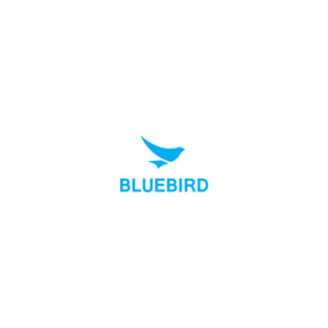Bluebird RT080-A4LBW tablette